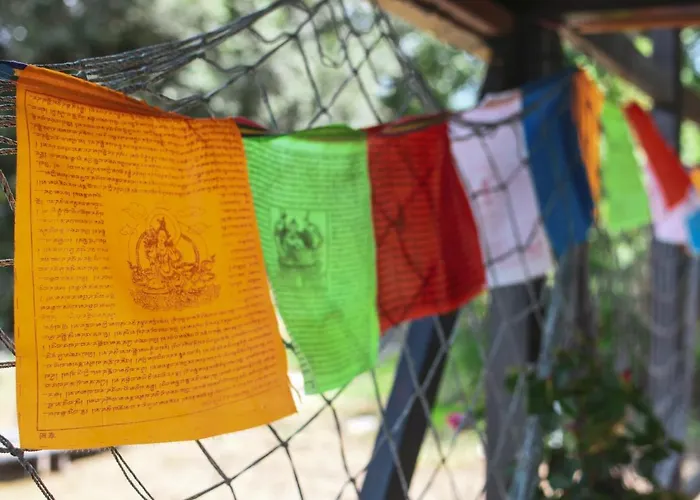Sagando - Floating House On Sava River Πλωτό κατάλυμα Βελιγράδι