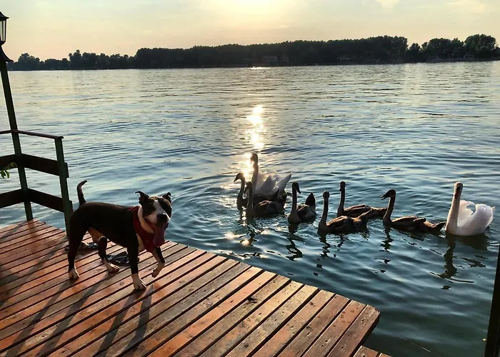 Sagando - Floating House On Sava River Πλωτό κατάλυμα Βελιγράδι